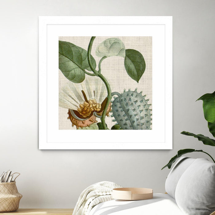 Œuvre d’art murale encadrée blanche et mate « Cropped Turpin Tropicals Ii » 30 x 30