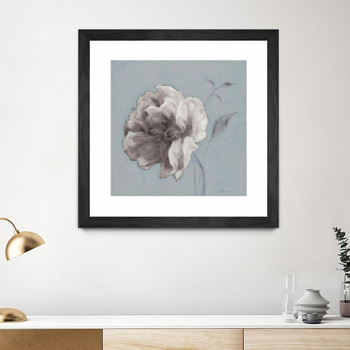 Œuvre d’art murale encadrée noire et mate « Floral Symposium Ii » 36 x 36