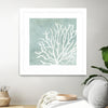 "Sea Crown Ii" Matted and Framed White 36x36 Wall Art