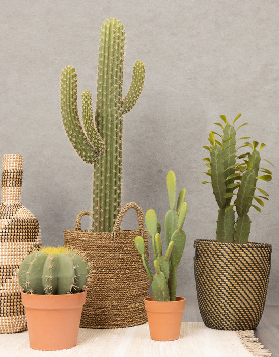 Cactus mexicain artificiel de 26 po en pot terracotta 