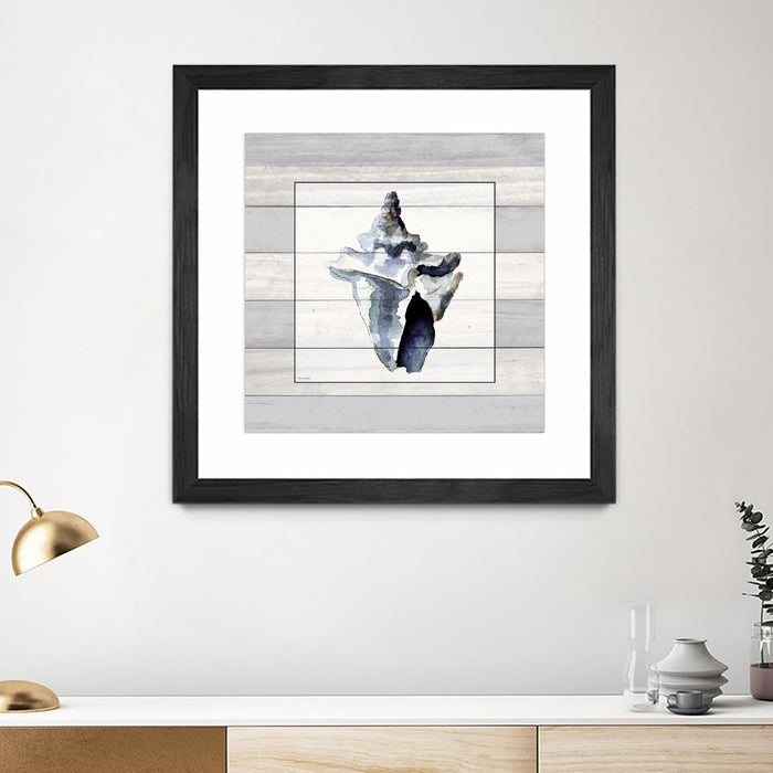 Œuvre d’art murale encadrée noire et mate « Muted Blue Sea Conch On Wood » 30 x 30