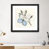 "In The Garden Butterfly" Matted and Framed Black 36x36 Wall Art