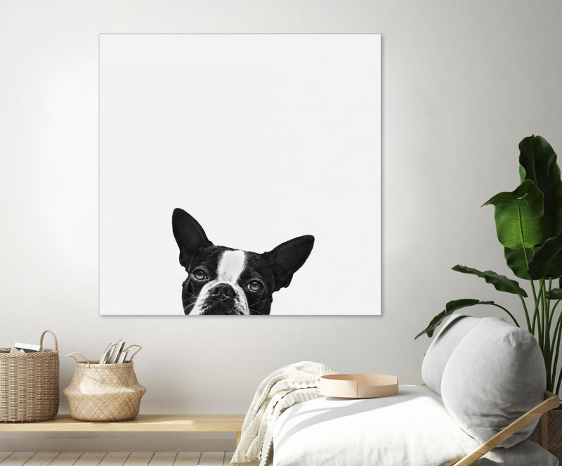 Œuvre d’art murale Giant Art « Loyalty » 72 x 72