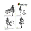Artificial 47" Fiddle Leaf Indoor & Outdoor In Black Pot 
