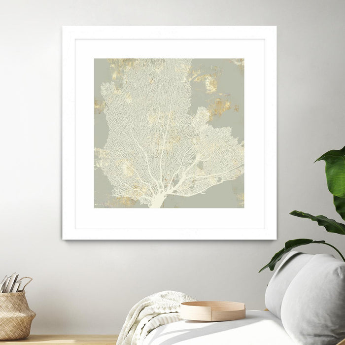 Œuvre d’art murale encadrée blanche et mate « Sea Coral I » 36 x 36