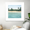 "Paradis Ii" Matted and Framed White 36x36 Wall Art