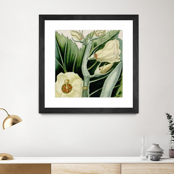 Œuvre d’art murale encadrée noire et mate « Cropped Turpin Tropicals Iii » 30 x 30