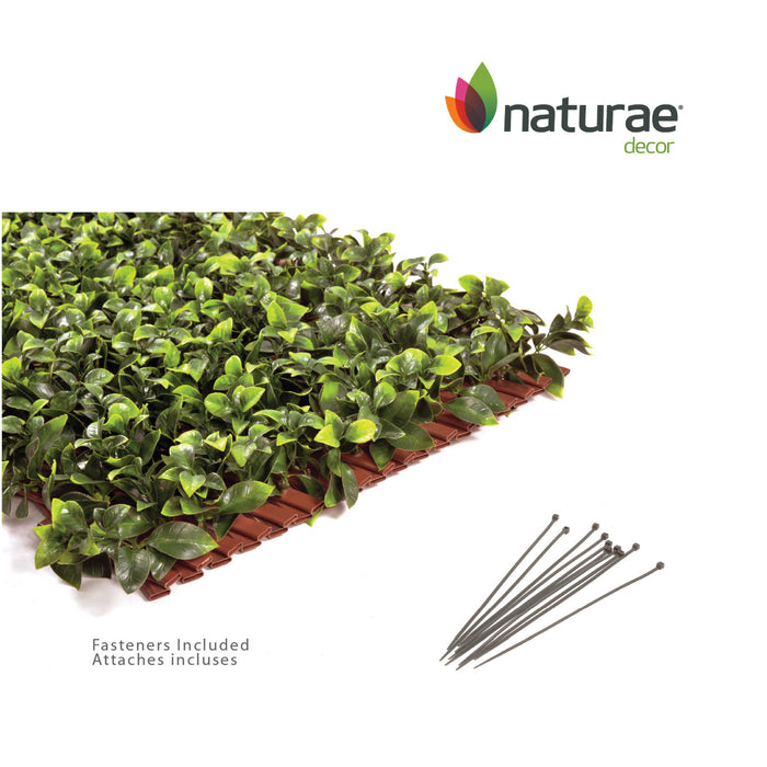 Treillis de PVC extensible 36 po x 72 po avec feuilles de gardénia
