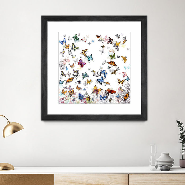Œuvre d’art murale encadrée noire et mate « Papillon » 36 x 36