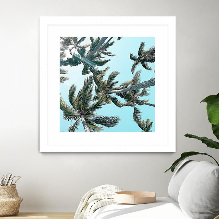 Œuvre d’art murale encadrée blanche et mate « Palm 03 » 30 x 30