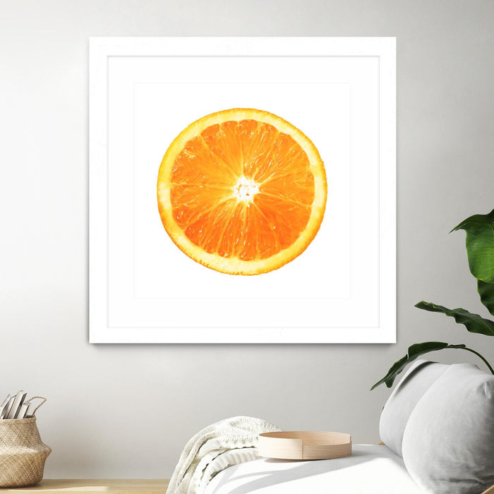 Œuvre d’art murale encadrée blanche et mate « Citrus Cultivar » 36 x 36