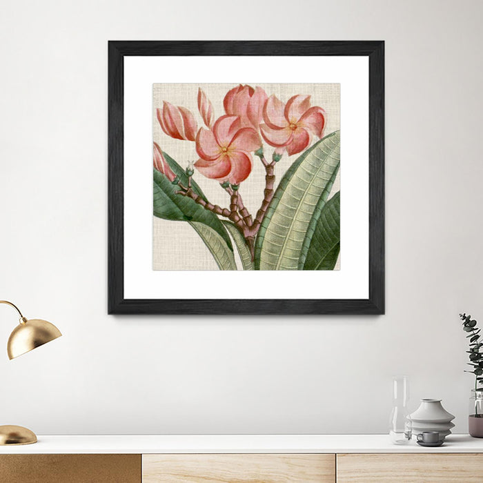 Œuvre d’art murale encadrée noire et mate « Cropped Turpin Tropicals Vii » 36 x 36