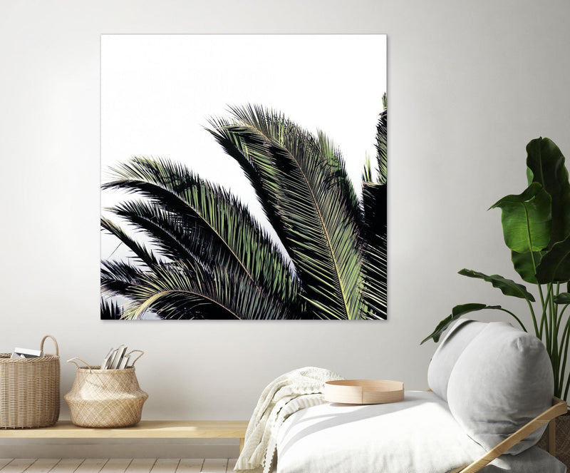 Œuvre d’art murale Giant Art « Cape Storm » 72 x 72