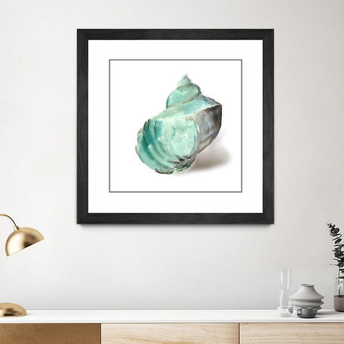 Œuvre d’art murale encadrée noire et mate « Shell In Mint » 30 x 30