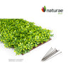 PVC Expandable Trellis 36"x 72" Schefflera Leaves 