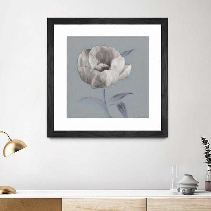 Œuvre d’art murale encadrée noire et mate « Floral Symposium I » 36 x 36