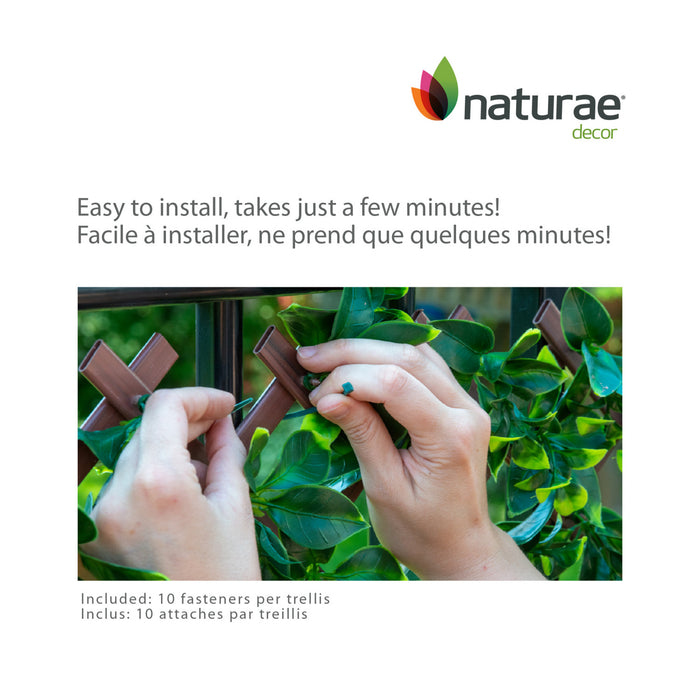 Treillis de PVC extensible 36 po x 72 po avec feuilles de schefflera