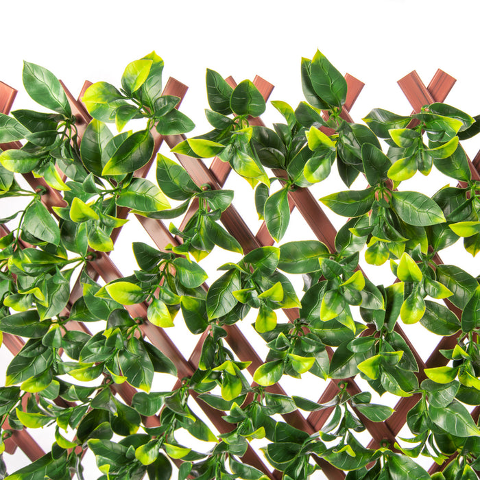Treillis de PVC extensible 36 po x 72 po avec feuilles de gardénia