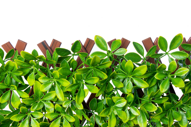 Treillis de PVC extensible 36 po x 72 po avec feuilles de schefflera