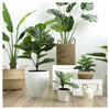 Artificial 35" Areca Palm Indoor & Outdoor In Black Pot 