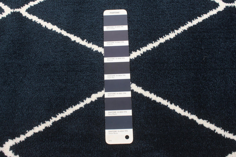 Carpette August bleu marineblanc - 5 pi 3 po x 7 pi 3 po