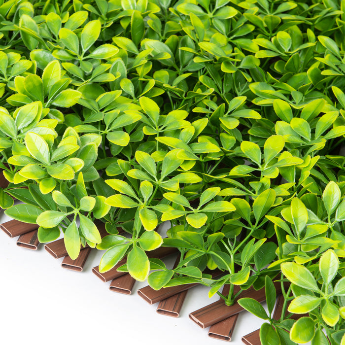 Treillis de PVC extensible 36 po x 72 po avec feuilles de schefflera