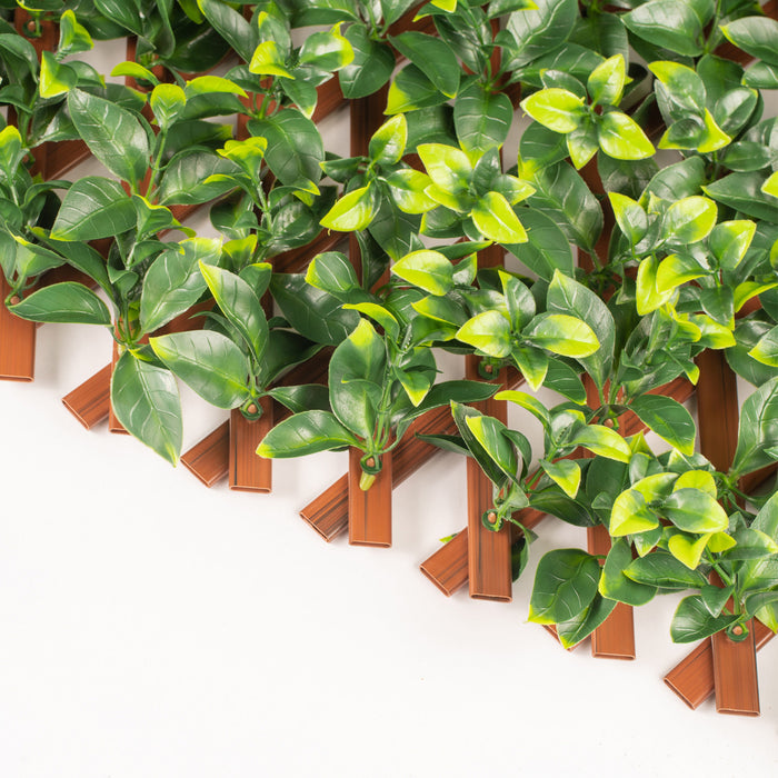 Treillis de PVC extensible 36 po x 72 po avec feuilles de gardénia