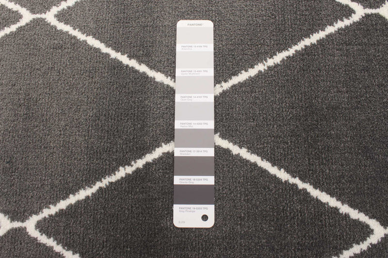 Carpette August gris foncéblanc 6 pi 7 po x 9 pi 6 po