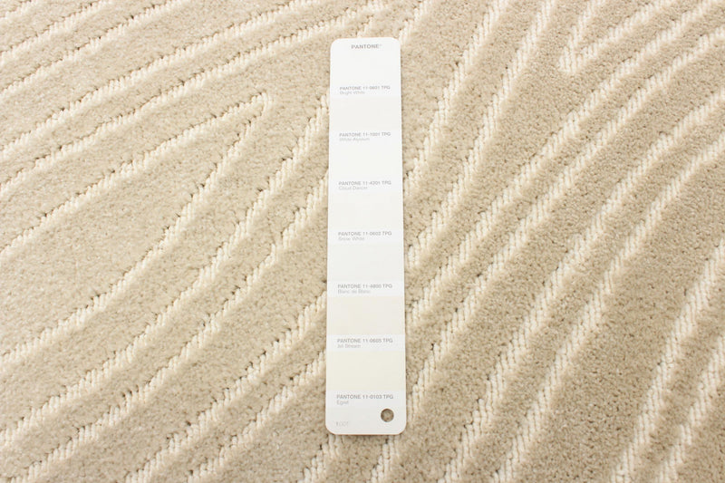 Carpette Lane ivoire 2 pi 8 po x 4 pi 11 po
