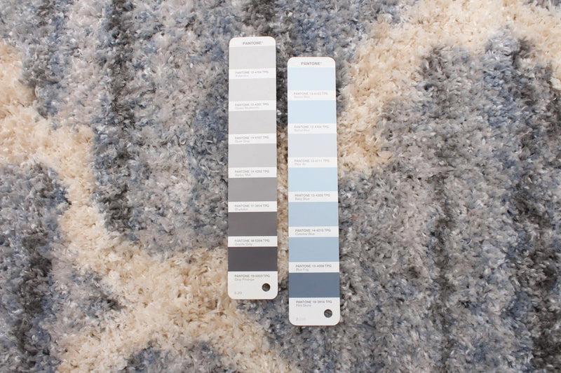  Carpette Dimity grisebleu clair - 3 pi 11 po x 5 pi 7 po