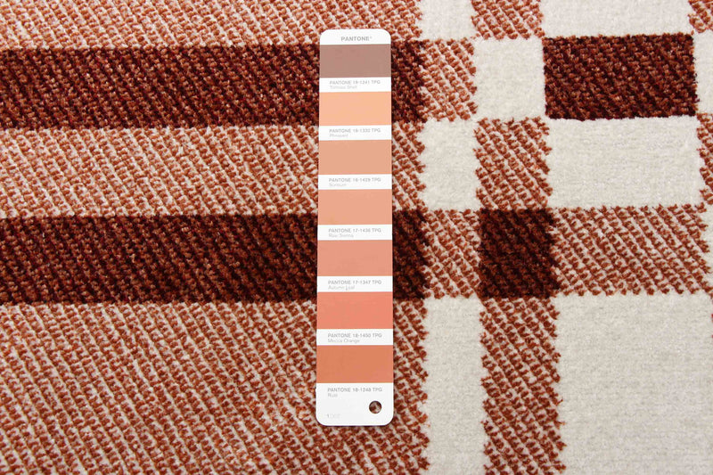 Carpette Roma cuivre lavable à la machine - 5 pi 0 po x 7 pi 0 po