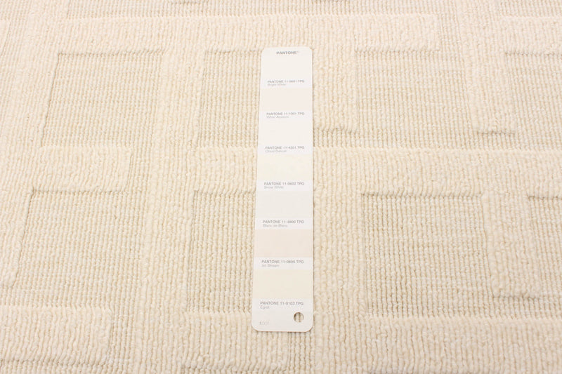 Carpette Brangane ivoire 6 pi 7 po x 9 pi 6 po
