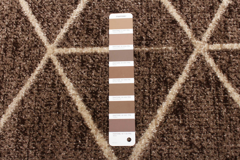 Carpette Davina chocolat - 6 pi 7 po x 9 pi 10 po