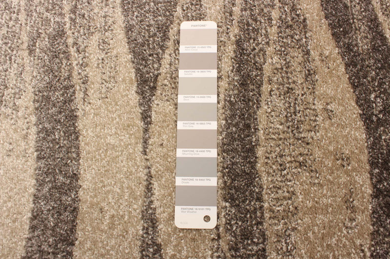Carpette Arusha ivoiregris 6 pi 7 po x 9 pi 6 po