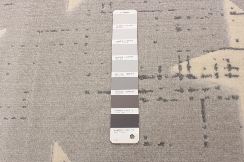 Carpette Ira gris clair 2 pi 8 po x 4 pi 11 po