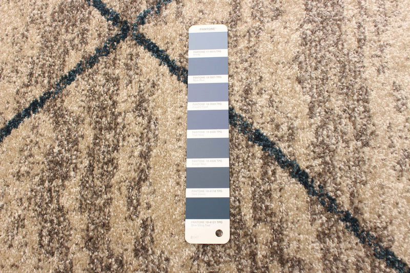 Tapis Grande Ivoire / Bleu 6pi 7 po X 9pi 6po