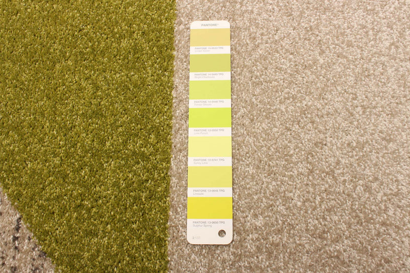Carpette Hadley grisvert 6 pi 7 po x 9 pi 6 po