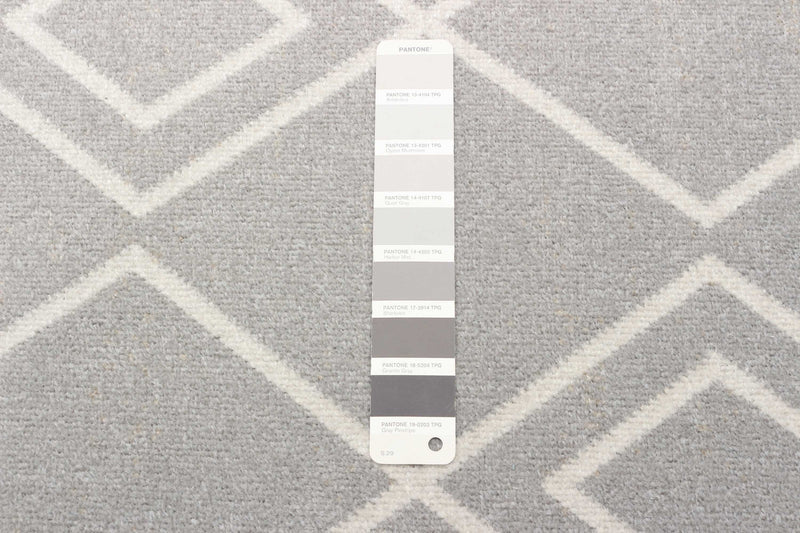 Carpette Kenza grise lavable à la machine - 2 pi 6 po x 8 pi 0 po