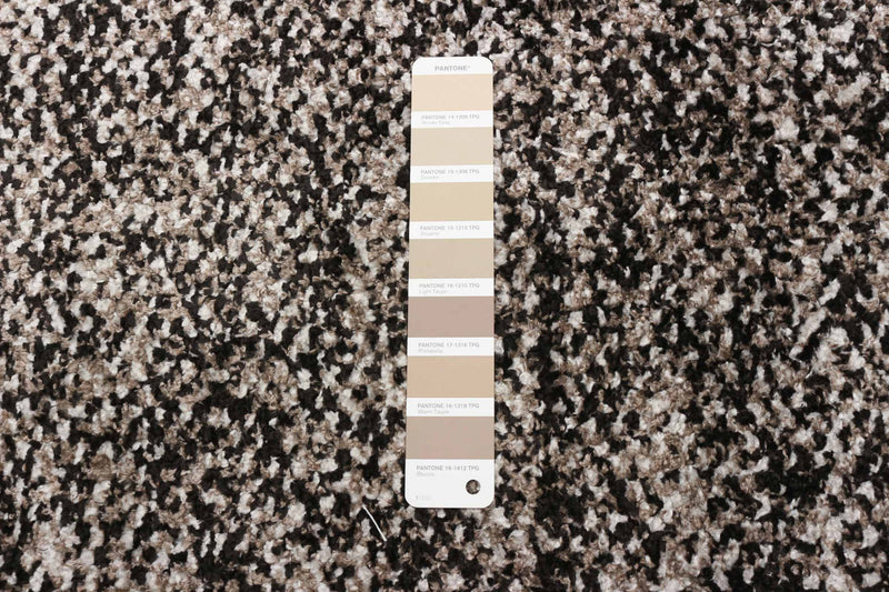  Carpette Vera Earth taupenoire - 5 pi 2 po x 7 pi 5 po
