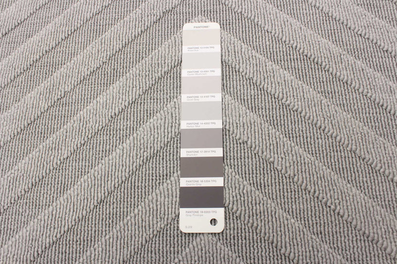 Carpette Dodie grise 3 pi 11 po x 5 pi 7 po
