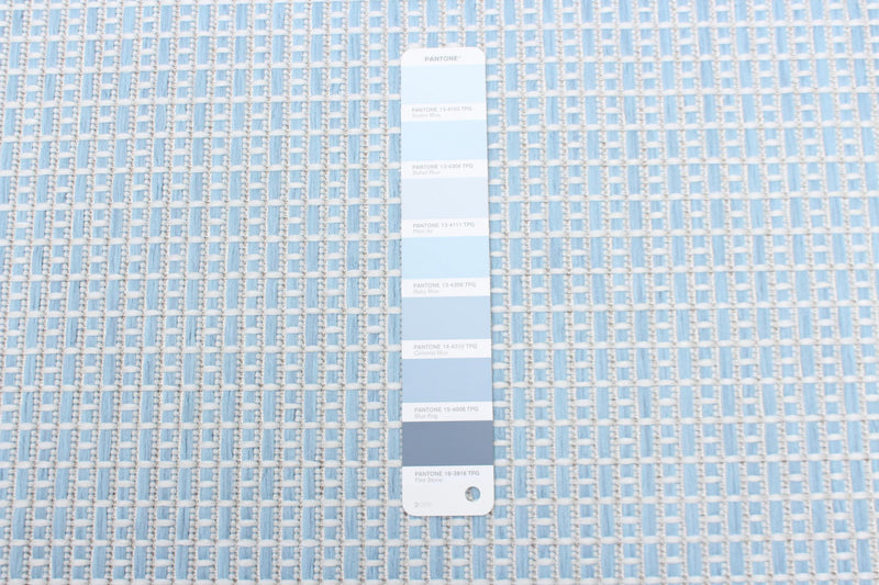 Carpette Neisha Classic bleu clair 5 pi 3 po x 7 pi 3 po