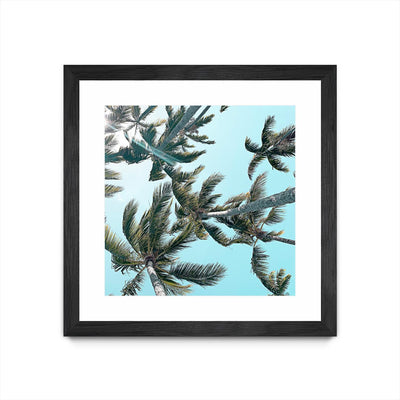 "Palm 03" Matted and Framed Black 30x30 Wall Art