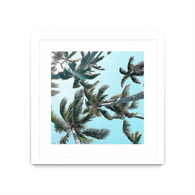 "Palm 03" Matted and Framed White 36x36 Wall Art