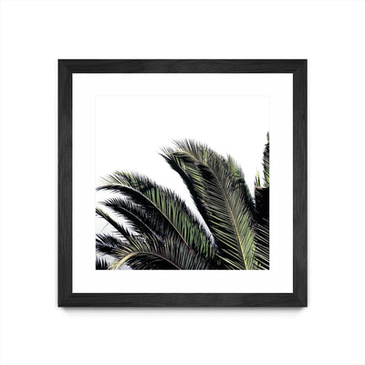 "Cape Storm" Matted and Framed Black 36x36 Wall Art