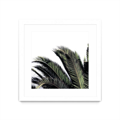 "Cape Storm" Matted and Framed White 30x30 Wall Art