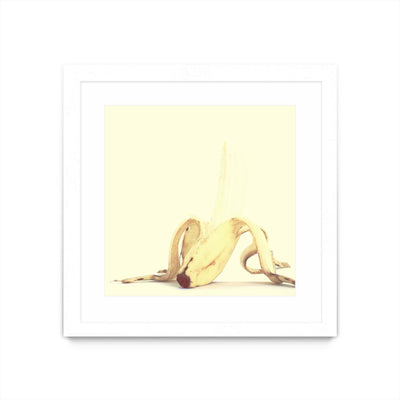 "Banada Honey Puff" Matted and Framed White 30x30 Wall Art