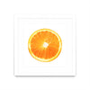 Œuvre d’art murale encadrée blanche et mate « Citrus Cultivar » 30 x 30
