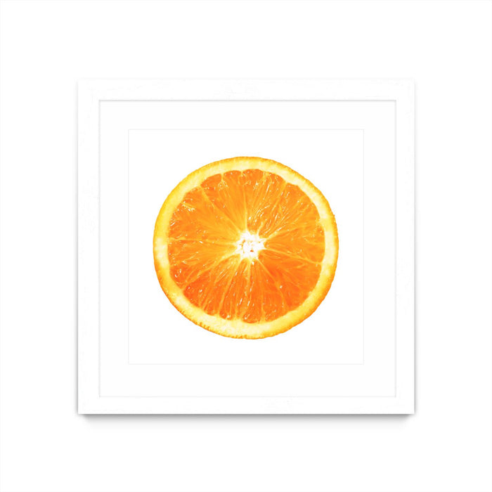 Œuvre d’art murale encadrée blanche et mate « Citrus Cultivar » 30 x 30