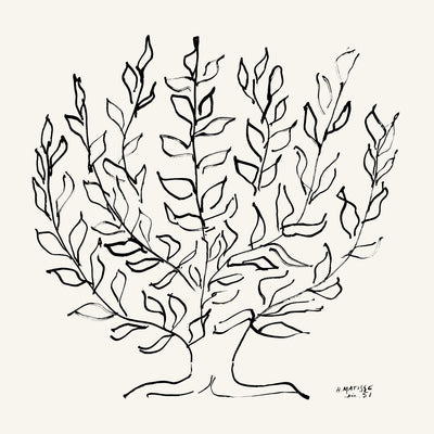 "L'arbre Platane" Giant Art 72x72 Wall Art