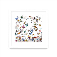 Œuvre d’art murale encadrée blanche et mate « Papillon » 36 x 36